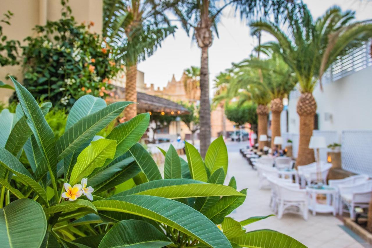 Hotel Danaides Malia Exterior foto